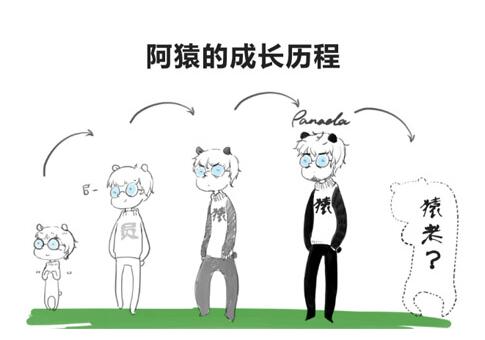 网站建设的顶梁柱—程序猿