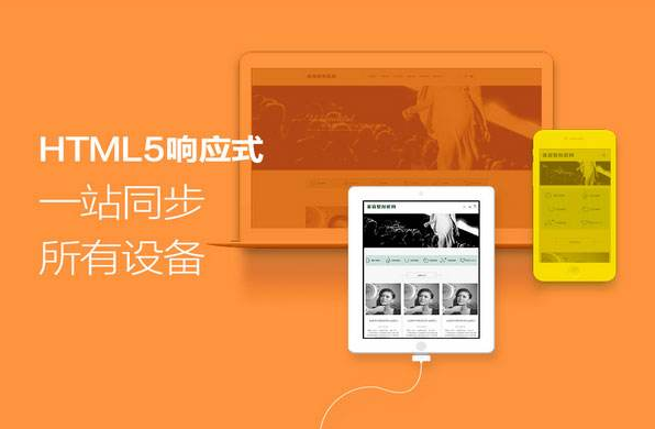 企业网站的需求和定位分析