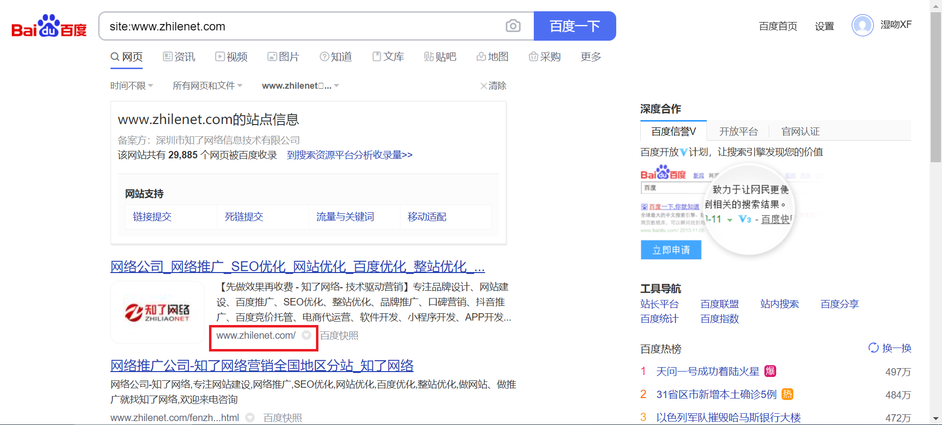 查询网站是否被降权